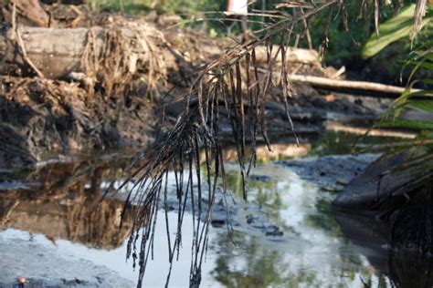 cleaning mud Ecuador|Abandoned Oil Mess Still Plagues Communities in the .